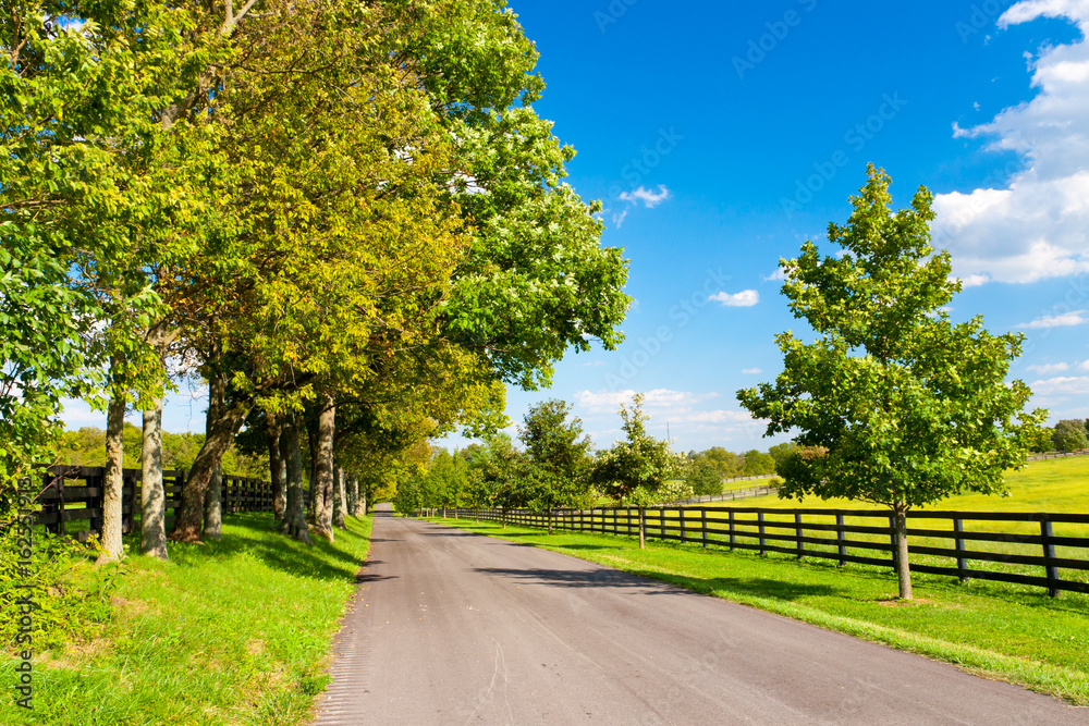 Country road surrounded the horse farms.