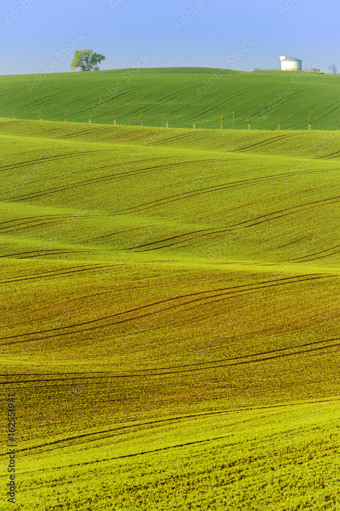 Colorful wavy hills in South Moravia