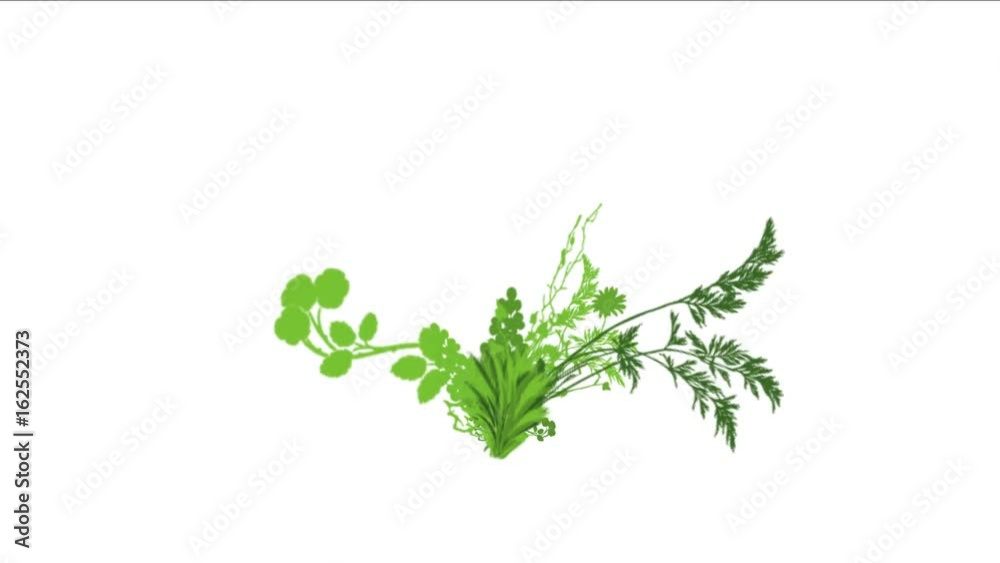 4k lush flower leaves crops shrubs bushes plant grass growing. 4k lush flower leaves crops shrubs bushes plant grass growing.