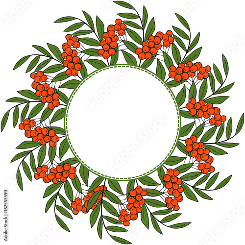 sketch rowan branch, liner, in color, round frame 1