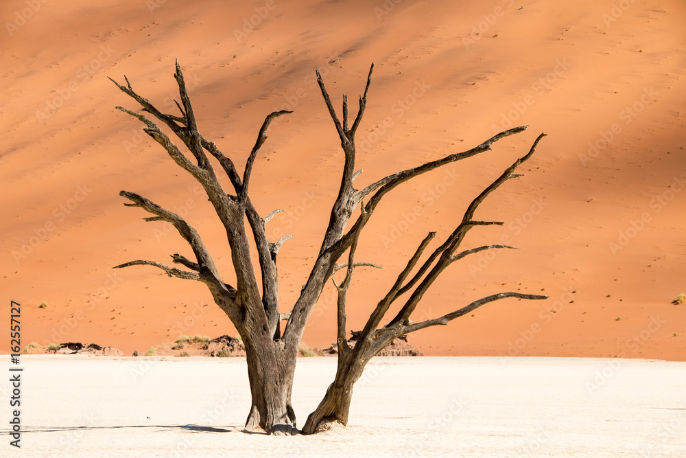 Deadvlei, Sossusvlei, Namibia