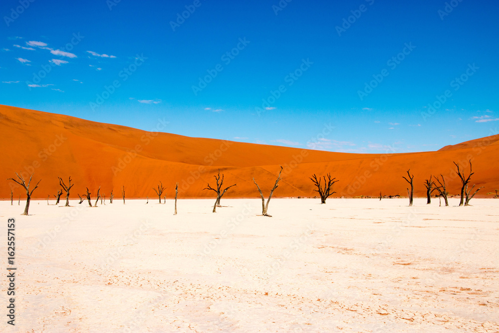 Deadvlei, Sossusvlei, Namibia