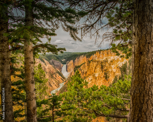 Lowe Falls of the Yellowstone