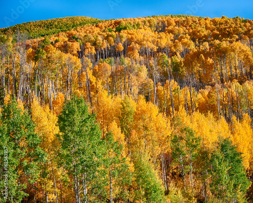 Fall at McClure Pass, Colorado