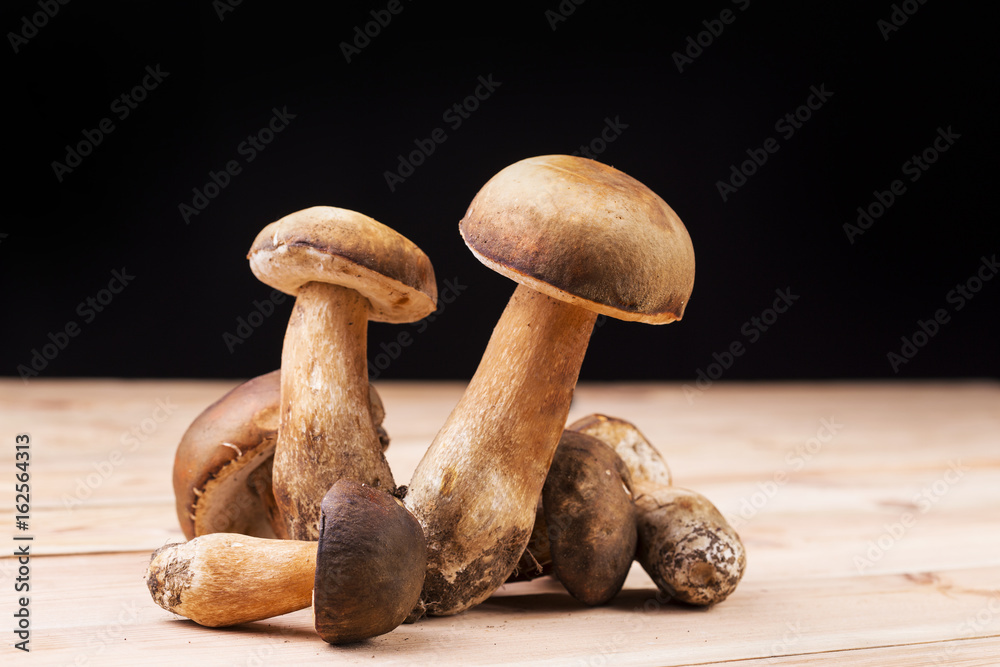 Group of fresh cepe mushrooms on a wooden table Group of fresh cepe mushrooms on a wooden table