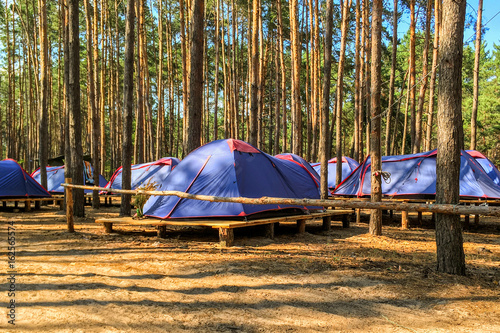 Tents of scouts or tourists in the forest on wooden platforms.
