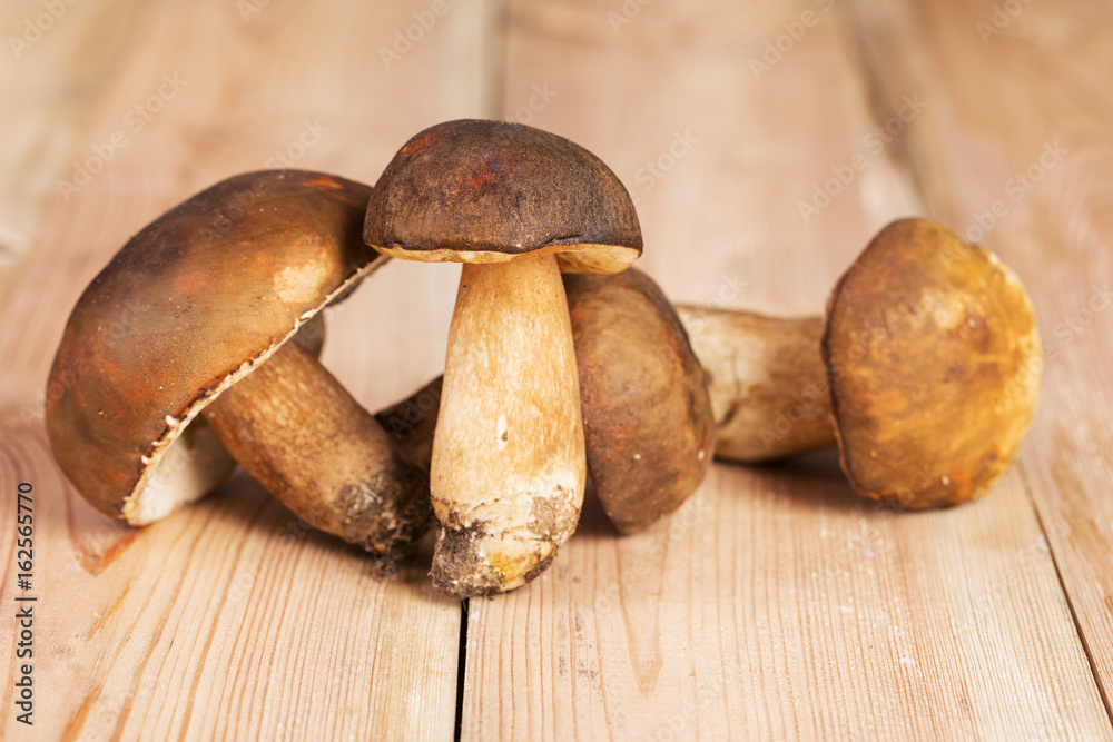 Mix of mushrooms on a wooden table. Autumn Mix of mushrooms on a wooden table. Autumn