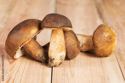 Mix of mushrooms on a wooden table. Autumn