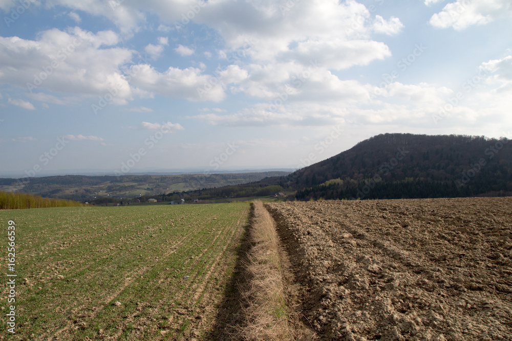 A spring landscape on the hills