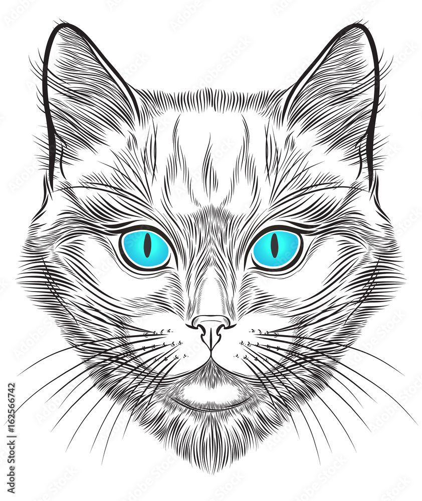 Cat portrait hand drawn in lines. Stylized doodle isolated vector illustration Cat portrait hand drawn in lines. Stylized doodle isolated vector illustration