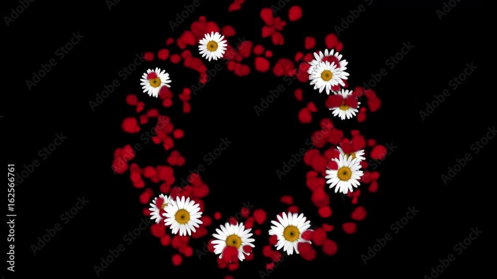 4k Rose petals daisy shaped wreath wedding Valentine's Day background. 4k Rose petals daisy shaped wreath wedding Valentine's Day background.