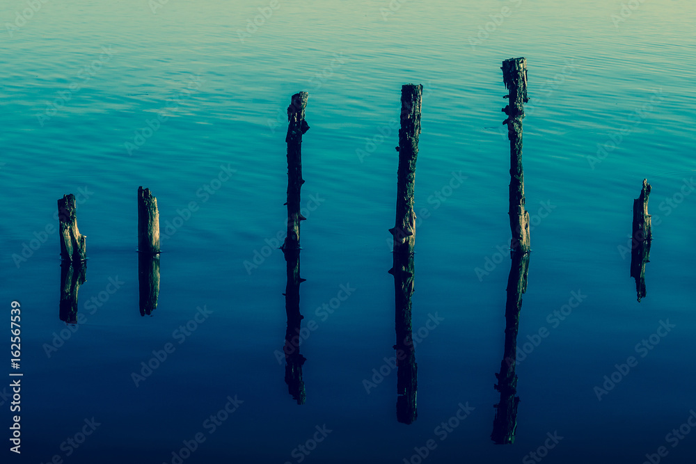 alte uferbefestigung am ewigen meer in ostfriesland alte uferbefestigung am ewigen meer in ostfriesland