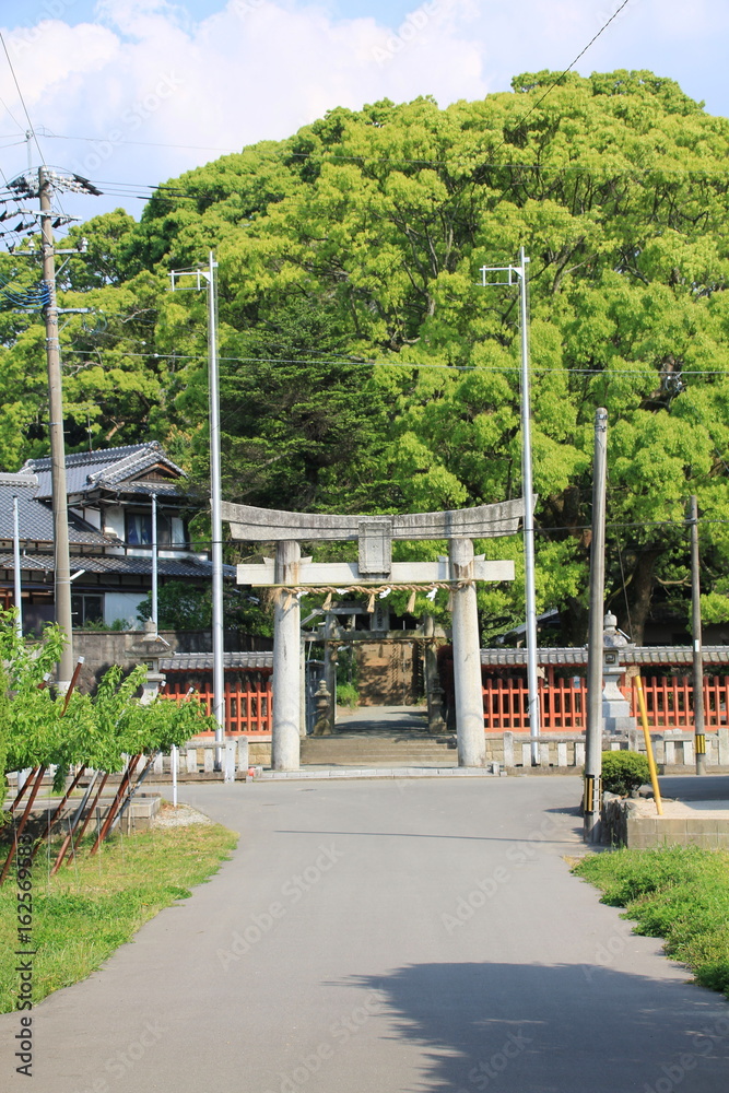 Fototapeta premium 五所八幡宮の参道(福岡県古賀市)