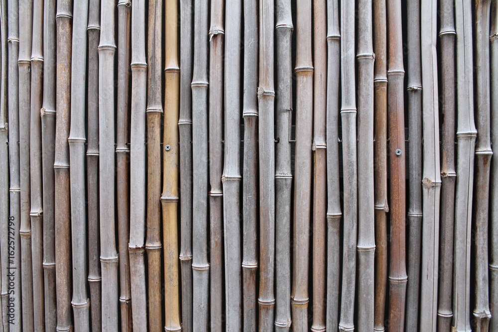 Bamboo Wall Bamboo Wall