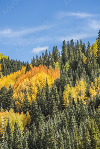 View on San Juan National Forest during golden fall in Colorado
