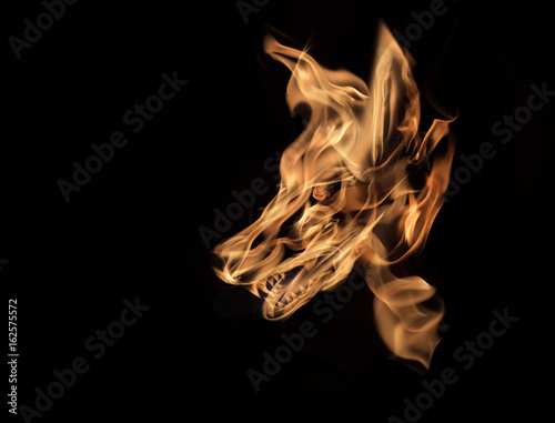 wolf drawing with fire effect structure on background