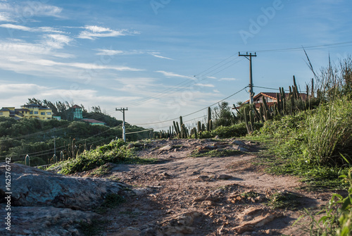 Road landscape