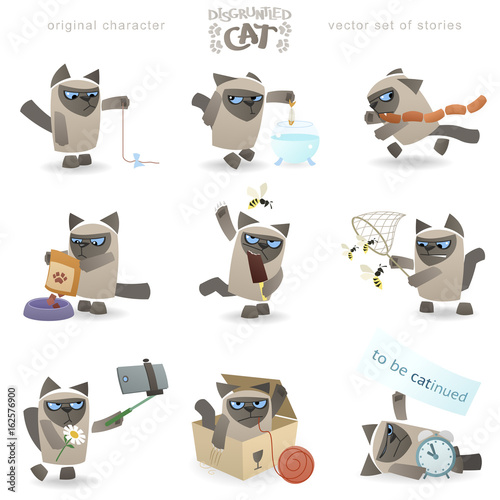 Siamese disgruntled tomcat. Funny vector storyboard of cat events. Animal character with a cranky behavior. Clean storyboard with a simple and stylish geometric shapes on a white background.