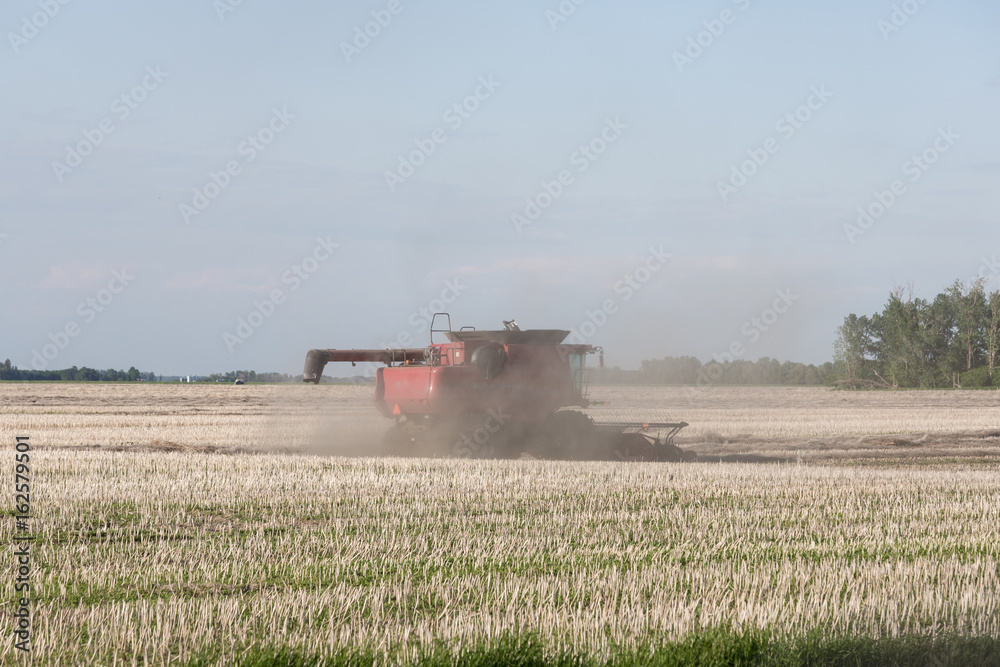 Fototapeta premium farmer combining a farm field