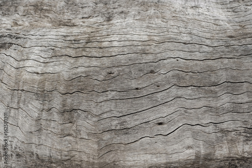 Wooden Texture Of Trunk,Thailand.