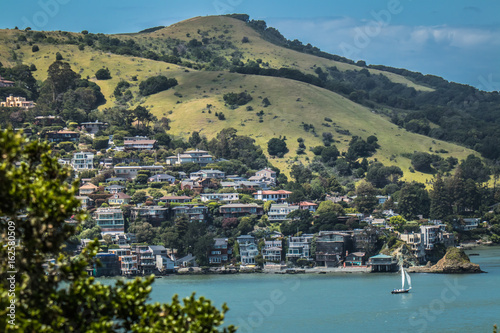 The hillside of Belvedere, CA. 