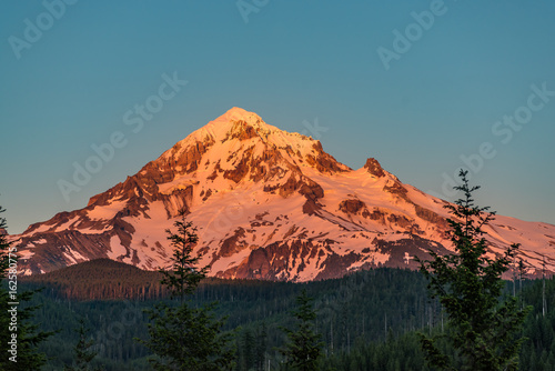 Canvas Print Mt Hood in the Alpenglow of Summer