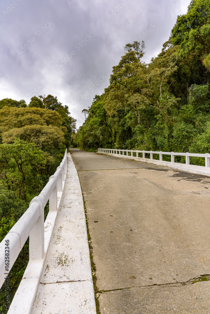 Road crossing the rainforest reserve area and environmental preservation in Itatiaia National Park Road crossing the rainforest reserve area and environmental preservation in Itatiaia National Park