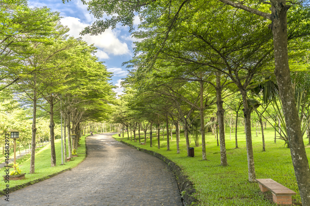 Twisty roads in the park with green trees shine in the golden sunshine of the summer in the ecotourism to attract tourists visiting the weekend.