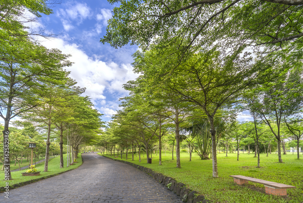 Twisty roads in the park with green trees shine in the golden sunshine of the summer in the ecotourism to attract tourists visiting the weekend. Twisty roads in the park with green trees shine in the golden sunshine of the summer in the ecotourism to attract tourists visiting the weekend.