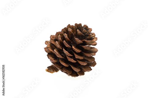 Dried pine nuts isolated on a white background