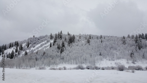 Logan Canyon