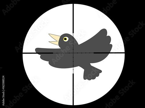烏を銃で撃つ