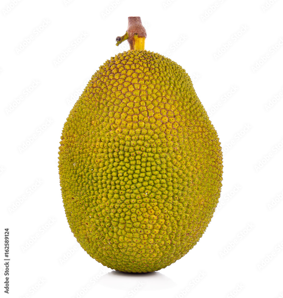 Jackfruit on a white background Jackfruit on a white background