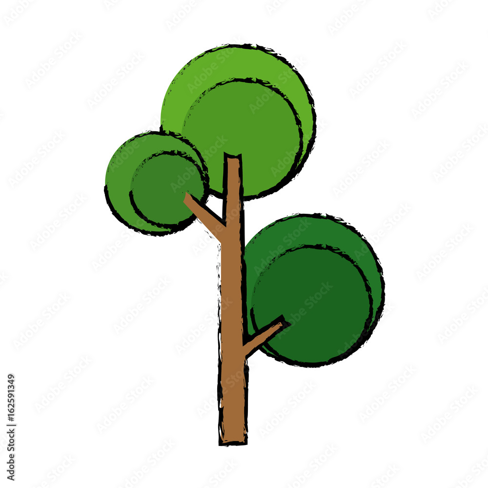 green tree foliage nature flora botanical green tree foliage nature flora botanical