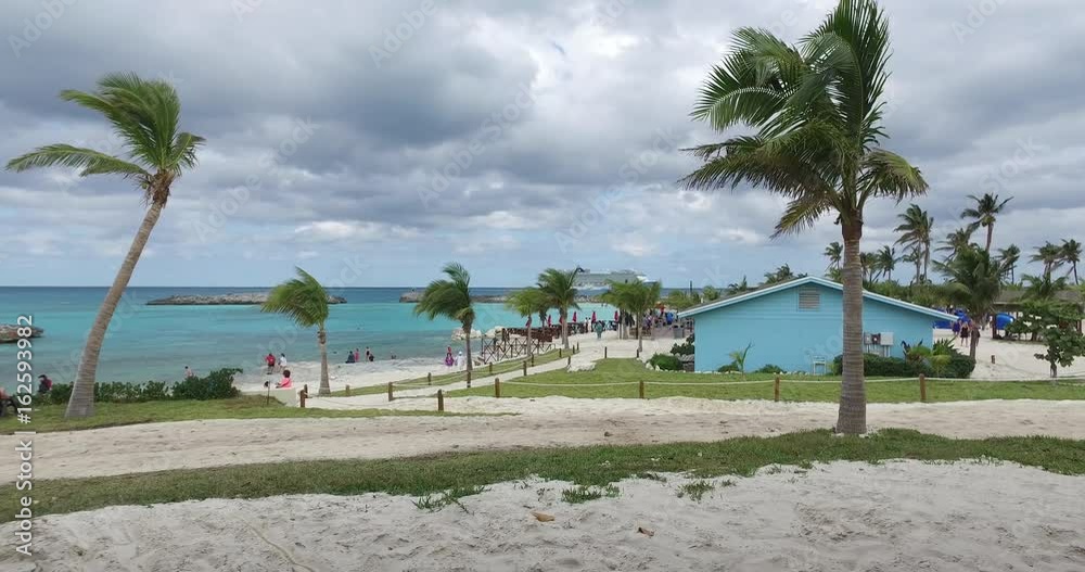 Palm trees swinging in the wind,beach and the sea in the background,Bahamas 2nd of November,2016. Palm trees swinging in the wind,beach and the sea in the background,Bahamas 2nd of November,2016.