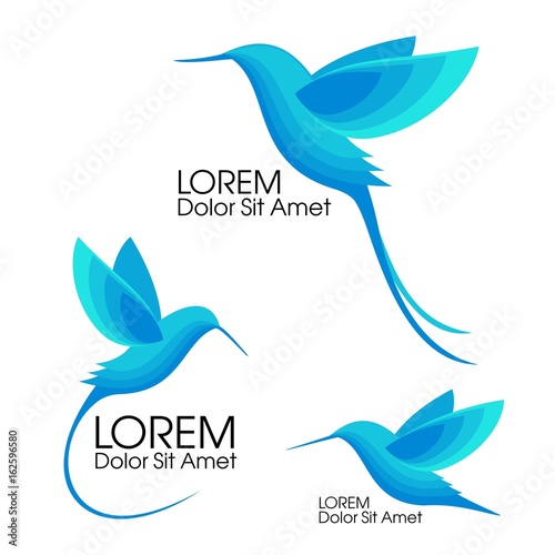 Modern Set . Blue birds, Colibri in flight, trendy minimalistic template design for logos, emblems, symbols.
