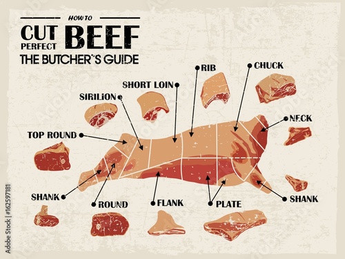 Vintage Poster Butcher diagram and scheme - Cow. Cut of meat set. Vector illustration.