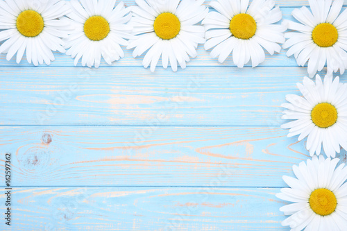 Chamomile flowers on blue wooden table © 5second