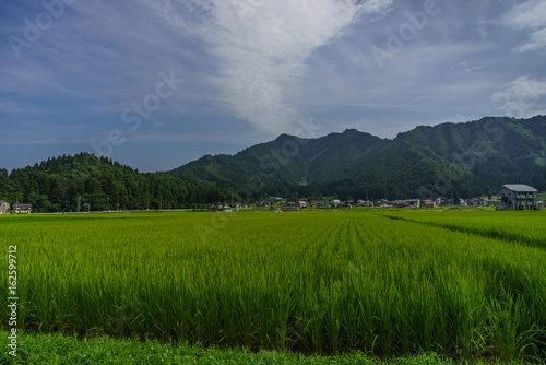 夏の六日町の田園風景 © nameyasu
