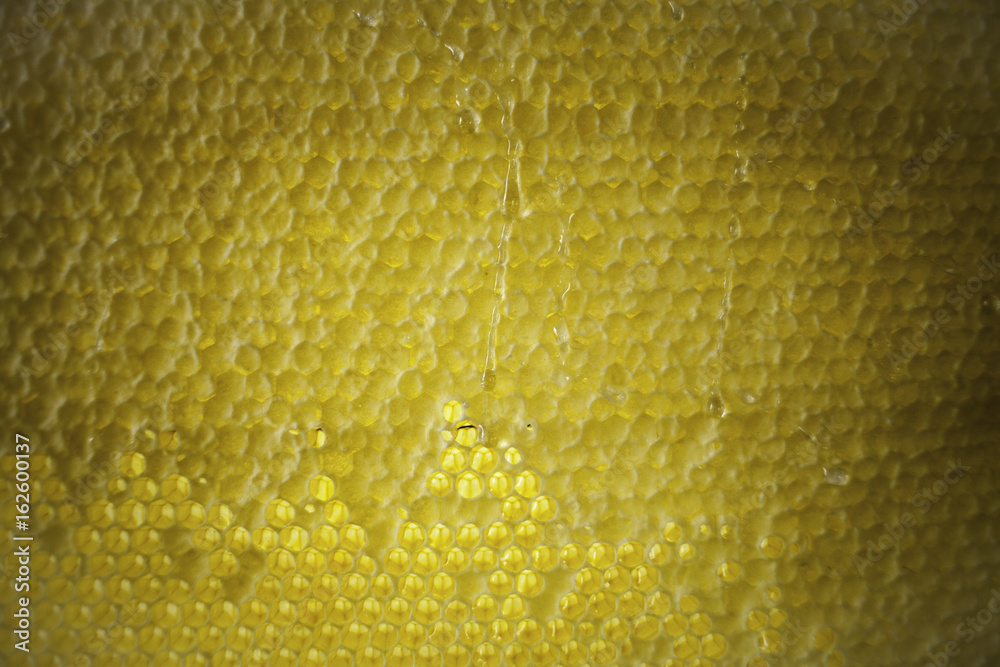 Bee honeycombs of wax in a wooden frame of a beehive full of tasty yellow May honey
