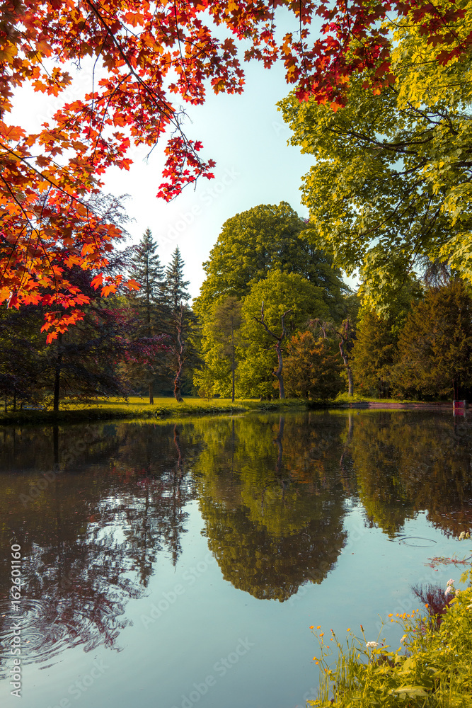 Images of trees in the pond in the autumn park