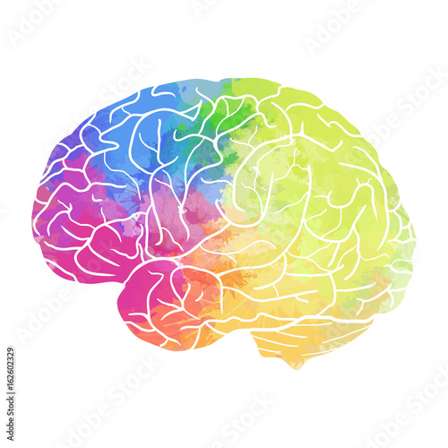 Human brain with rainbow watercolor spray on a white background. Vector element for your design