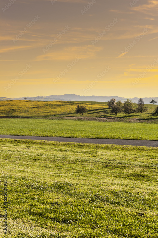 Pastures in Switzerland at sunrise