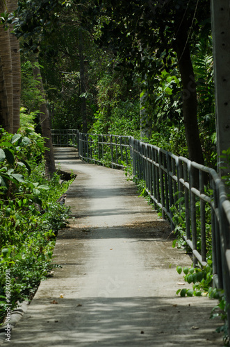 The walk in the park