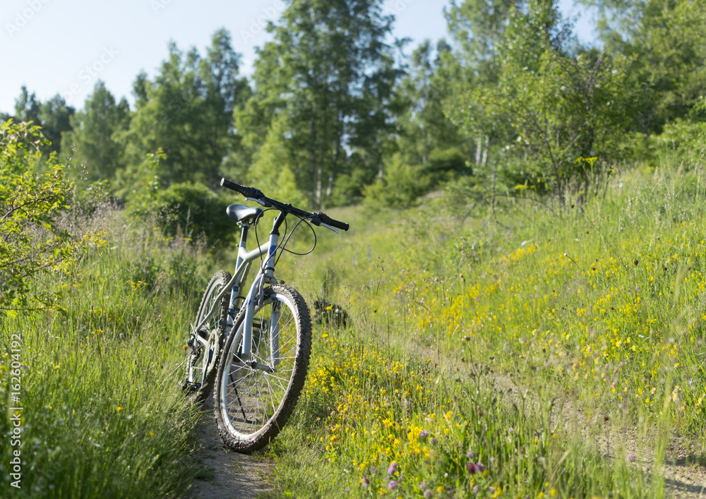  Cross-country mountain bike on off-road track in beautiful nature