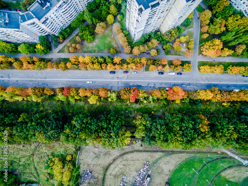 Aerial view - autumn city road from high with colourful trees