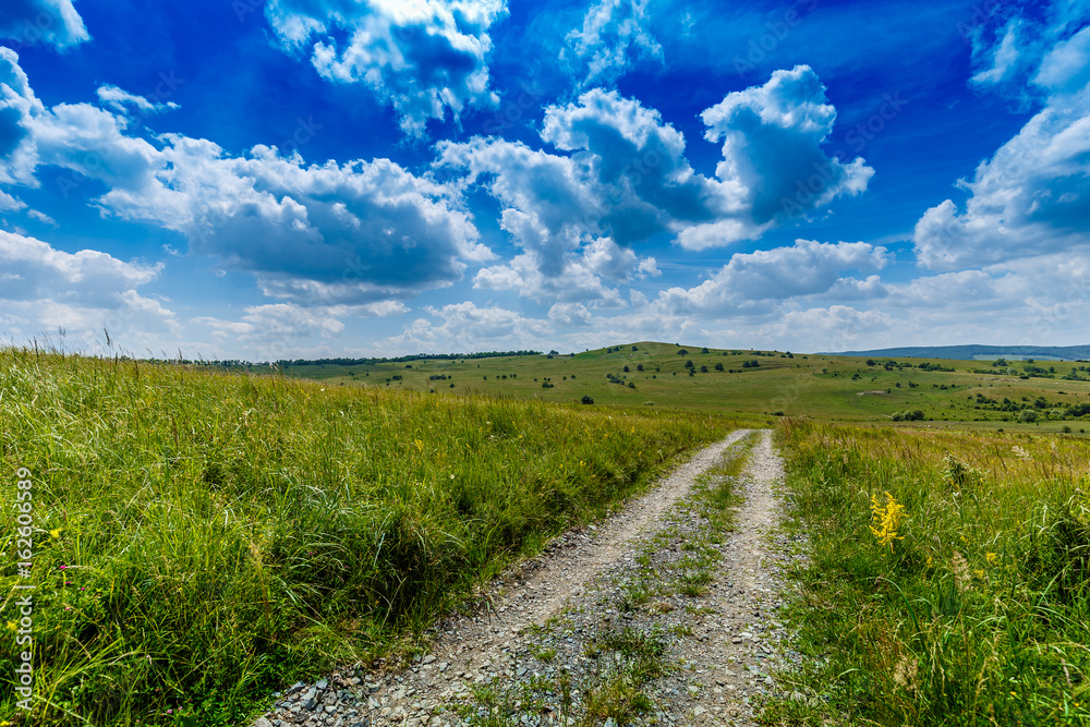 Rural road and green field