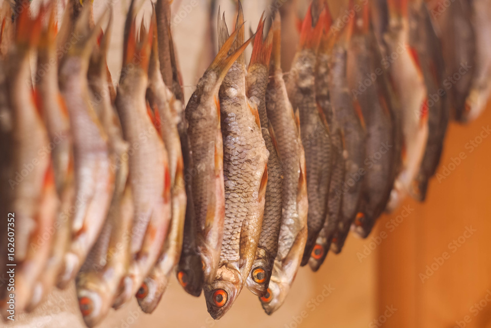 dried fish in the sun dried fish in the sun
