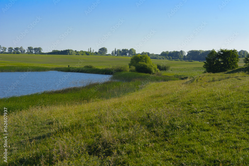 Obraz premium A beautiful lake for breeding fish. Magnificent view of the lake.