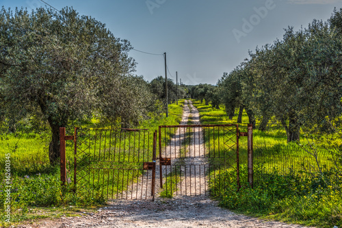 Old metal gate in the countryside